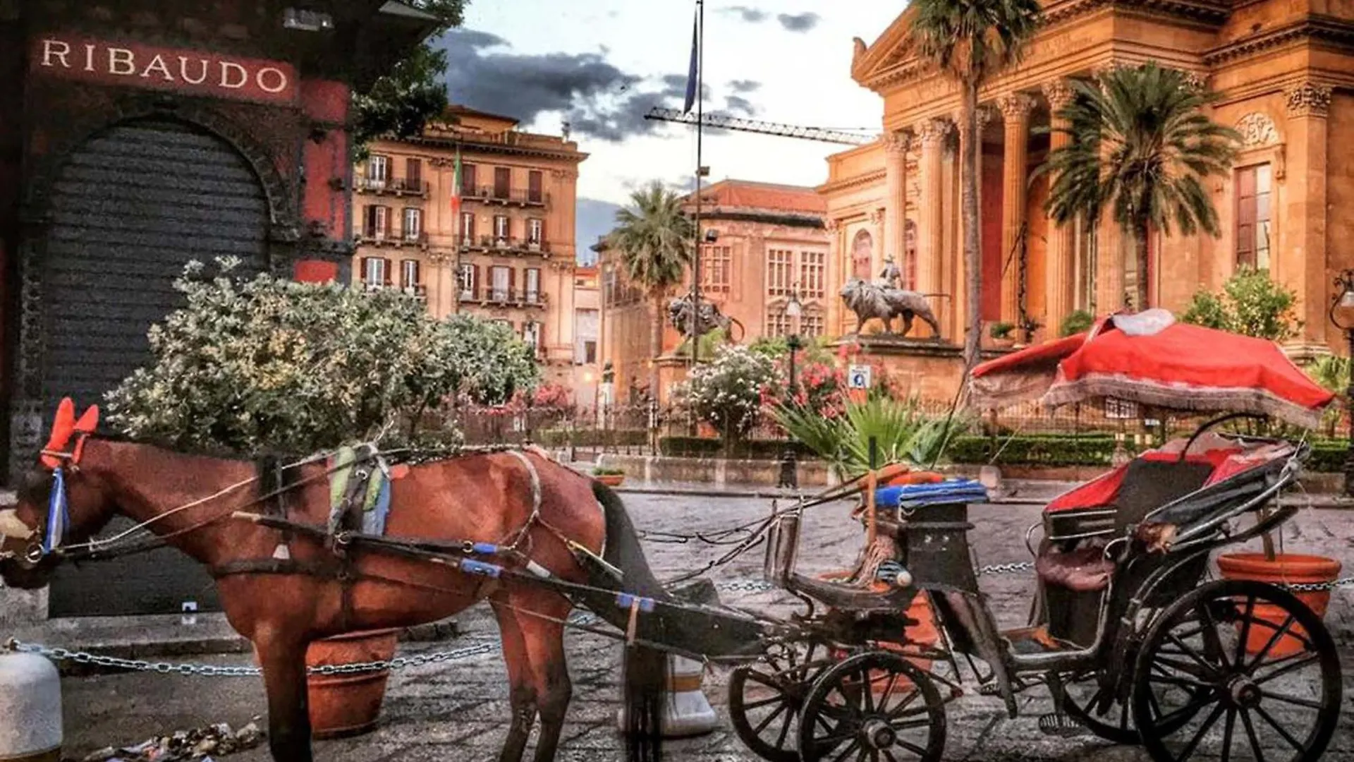 House Rodue The Historic Center Palermo Apartment